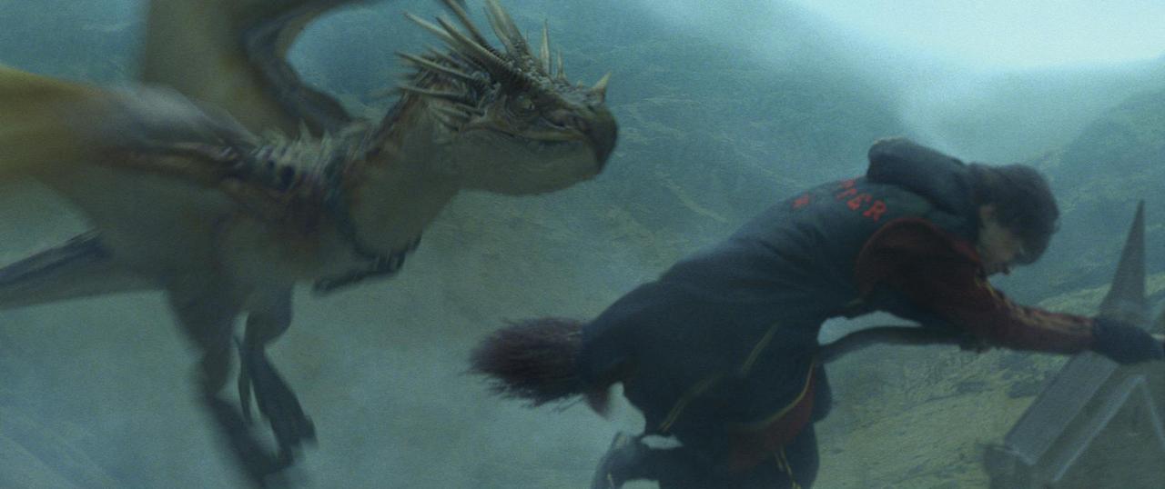 画像5: 「ハリー・ポッター」シリーズプレイバック／第４作『ハリー・ポッターと炎のゴブレット』