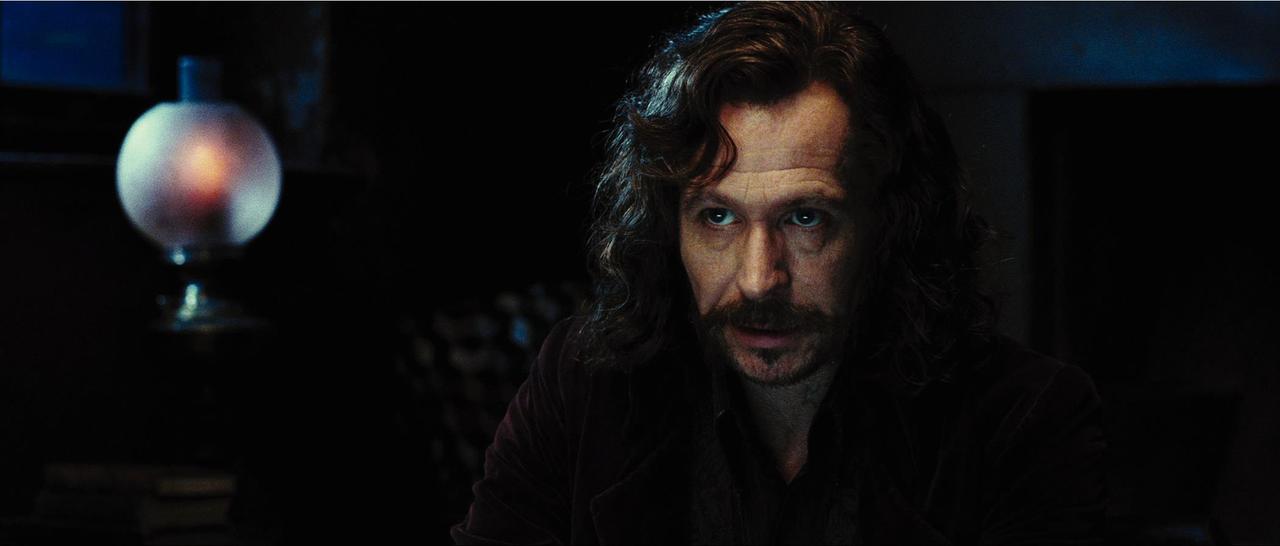 画像7: 「ハリー・ポッター」シリーズプレイバック／第５作『ハリー・ポッターと不死鳥の騎士団』