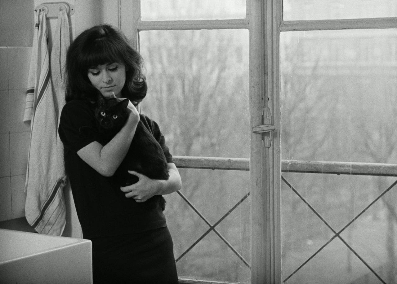 画像1: ジャン＝ピエール・レオ、アラン・ドロンら錚々たるスター俳優がカメオ出演！ギィ・ジル長編初監督作品『海辺の恋』アザーカット12点が一挙解禁