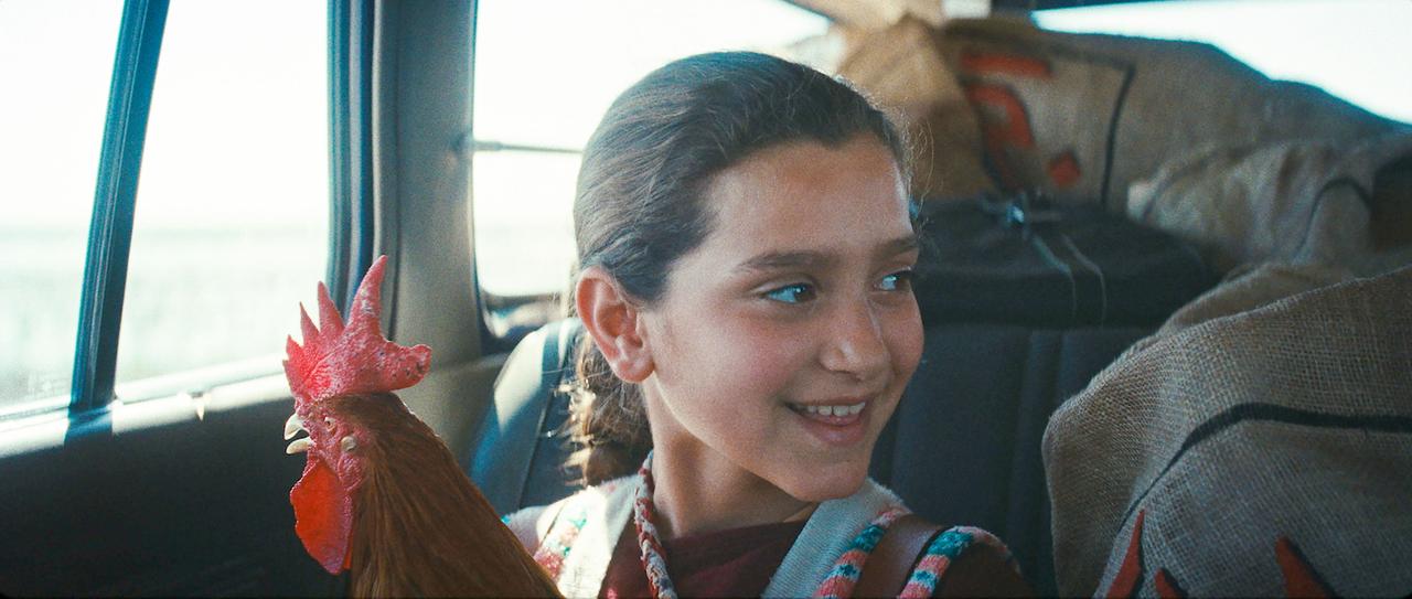 画像5: 世界の映画祭が絶賛！ケーキの材料を探して、町を駆け回る少女と、そこから見えるものとは――『大統領のケーキ』邦題、公開日、特報、場面写真解禁