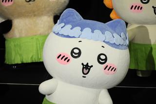 ハチワレ