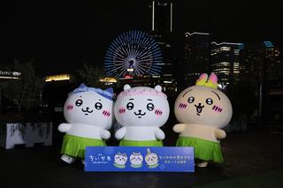 画像4
