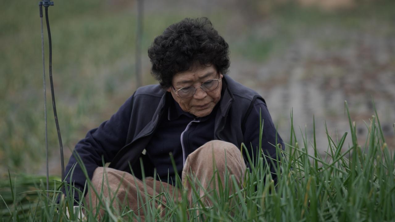 画像6: 言葉にすることはできなかった――済州4・3事件を生き延びた4人の女性たちの証言『済州島 声たち』11月7日公開決定