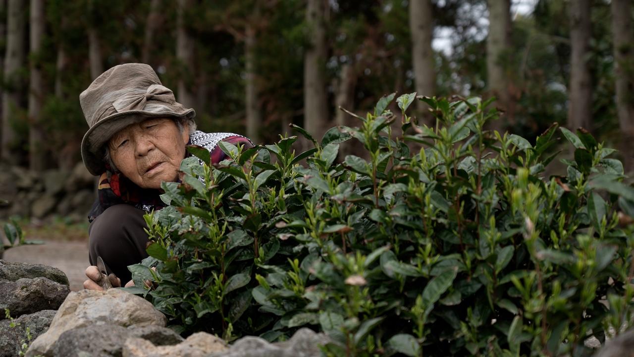 画像2: 言葉にすることはできなかった――済州4・3事件を生き延びた4人の女性たちの証言『済州島 声たち』11月7日公開決定
