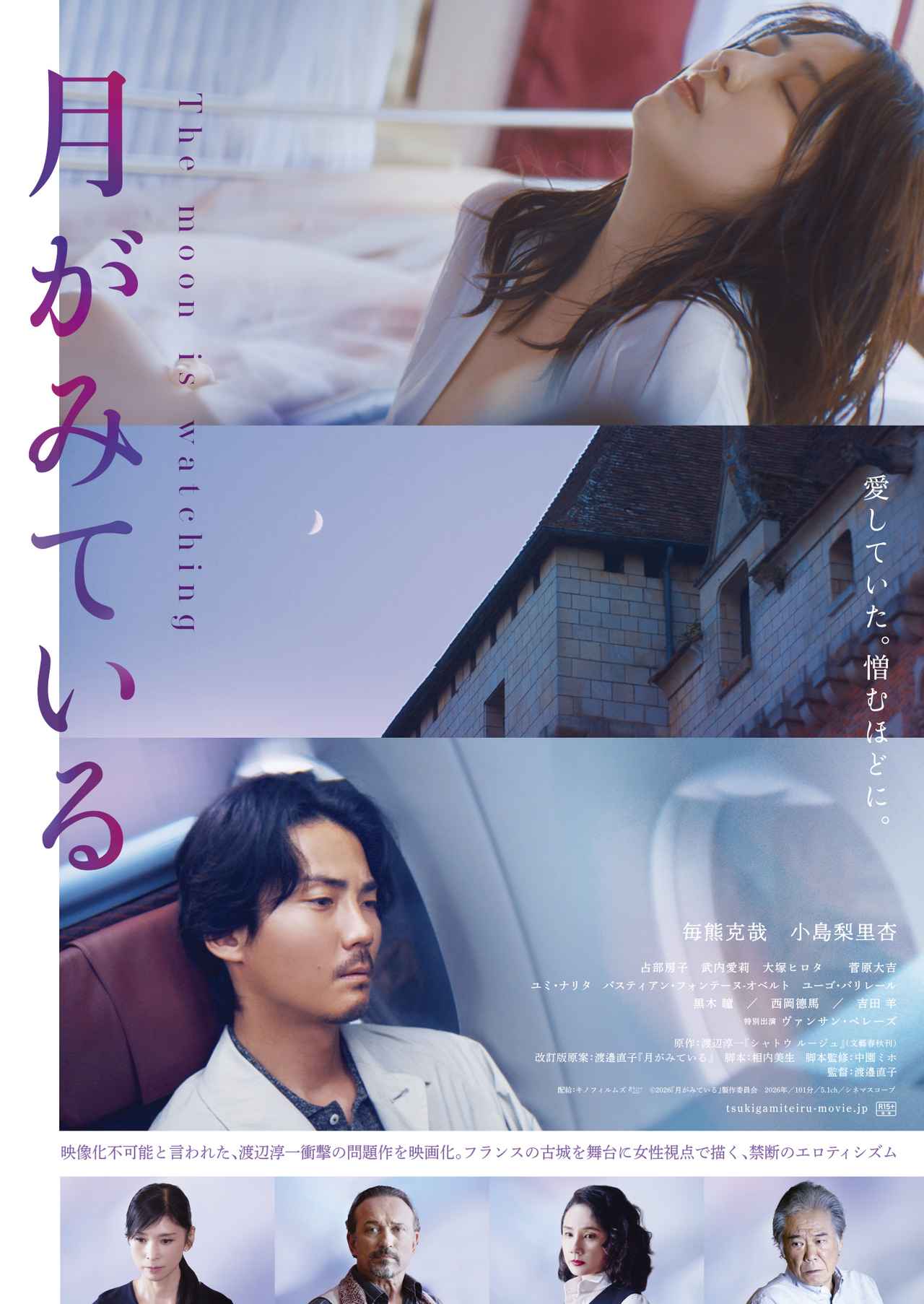 画像1: 渡辺淳一原作『月がみている』予告編&ポスタービジュアルが解禁 フランス映画界の名優ヴァンサン・ペレーズ出演決定