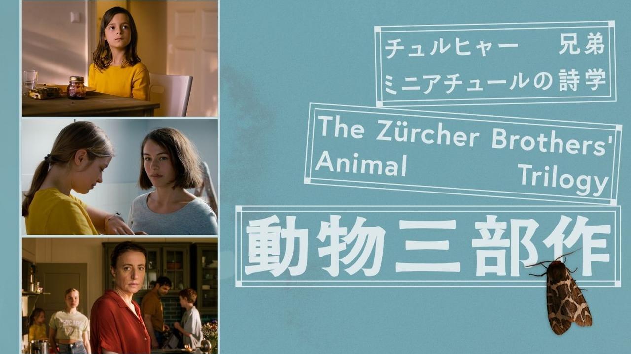 画像: ミニアチュールの詩学 チュルヒャー兄弟『動物三部作』公式サイト