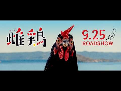 画像: 9.25公開 映画『雌鶏』誕生の瞬間から始まる壮大な旅路―まさに"鳥界隈"のスペクタクル!予告編映像 解禁!! youtu.be