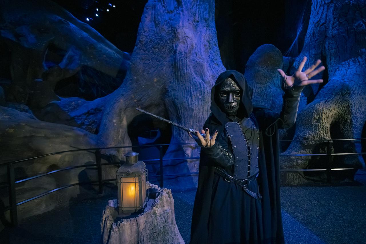 画像3: Warner Bros. Studio Tour Tokyo - The Making of Harry Potter.
