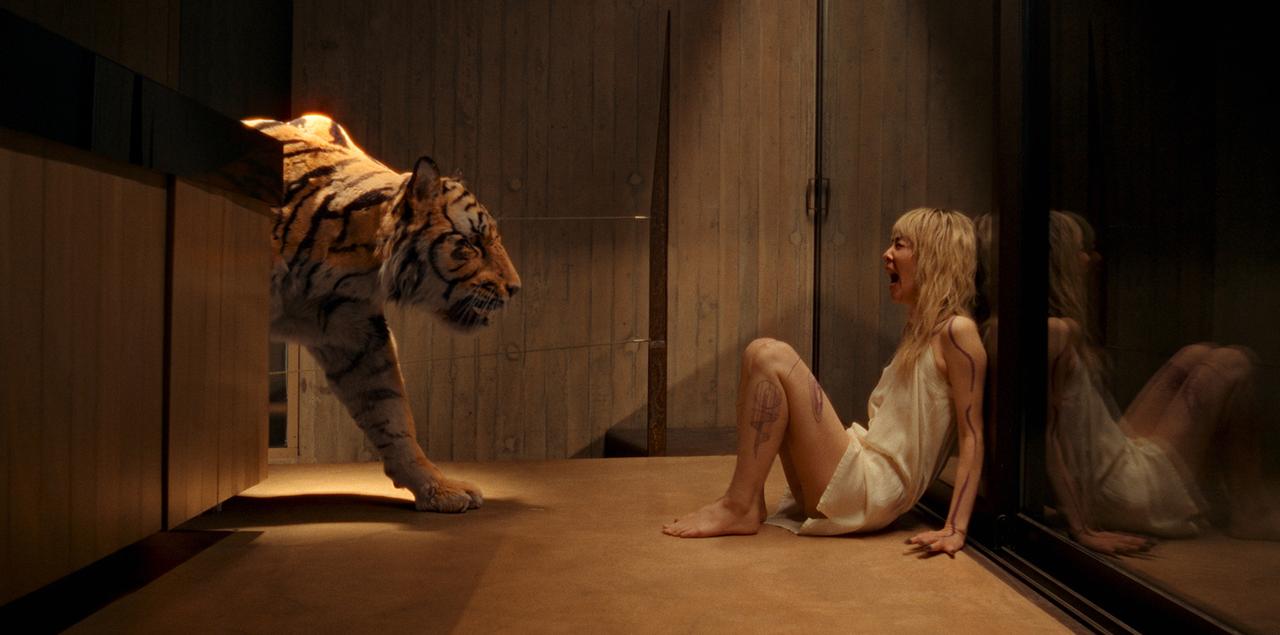画像7: ＜ワイダ・ジェネレーション＞と＜ポーランド映画祭2026＞
