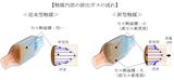 画像: 新型触媒は触媒の周縁部と中心部の排出ガスの流速が従来の触媒よりも均一になっています。