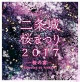 画像: 【ニュース】リーフで元離宮二条城の桜をライトアップ!