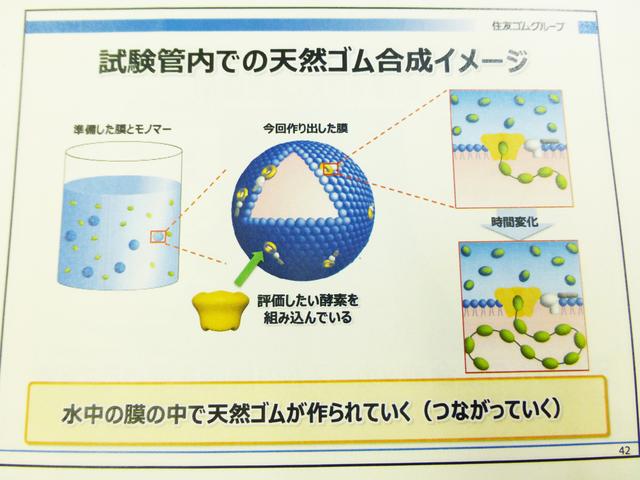画像4: 【ニュース】ダンロップ/ファルケンも6月よりタイヤ値上げ 2017年4月5日