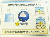 画像4: 【ニュース】ダンロップ/ファルケンも6月よりタイヤ値上げ 2017年4月5日