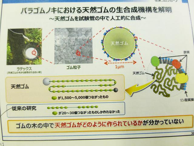 画像: 2016年12月2日に行われた住友ゴムの発表会のプレゼンテーション資料。