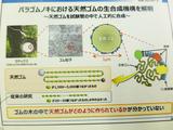 画像: 2016年12月2日に行われた住友ゴムの発表会のプレゼンテーション資料。