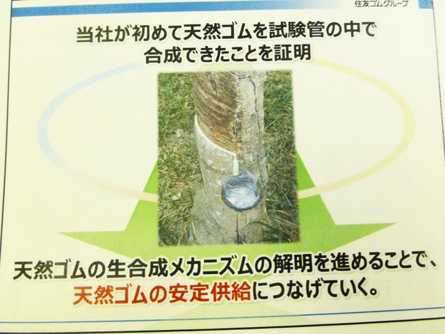 画像6: 【ニュース】ダンロップ/ファルケンも6月よりタイヤ値上げ 2017年4月5日