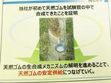 画像6: 【ニュース】ダンロップ/ファルケンも6月よりタイヤ値上げ 2017年4月5日