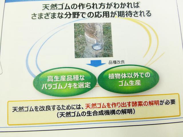 画像2: 【ニュース】ダンロップ/ファルケンも6月よりタイヤ値上げ 2017年4月5日
