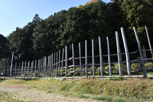 画像2: 武田軍との戦いを「実感」できる設楽原歴史資料館