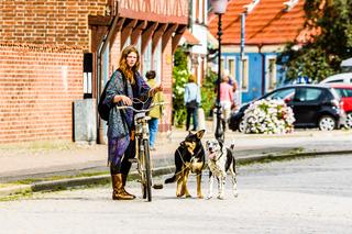 イベント ゴルフトゥーランがジャーマンドッグカーニバル17に登場 Webモーターマガジン