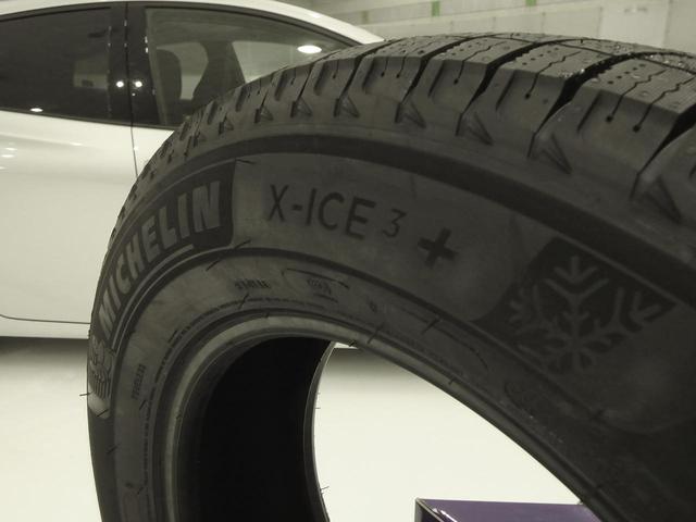 画像: X-ICE3+のサイドウオール。ロゴに「+」と大きく書かれている。