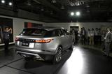 画像1: KWD.3「隠された美しさ」 を探す楽しみはオーナーだけの特権だ