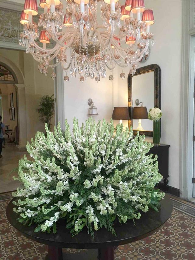 画像: ゲストハウス入口に飾られていた見事な植栽と美しいシャンデリア。歴史の重みを感じさせてくれるデコレーションが建物の随所にありました。