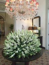 画像: ゲストハウス入口に飾られていた見事な植栽と美しいシャンデリア。歴史の重みを感じさせてくれるデコレーションが建物の随所にありました。