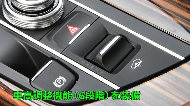 画像3: 気品の中に秘めた荒ぶる魂