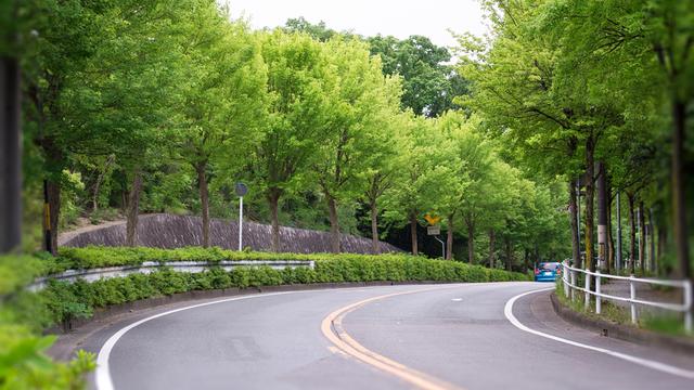 画像3: 【知って得するクルマのクイズ⑩】
今回のテーマは、しっかり覚えておきたい道路交通法です