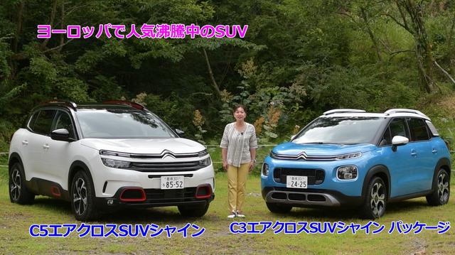 画像1: シトロエンの世界観全開!!
