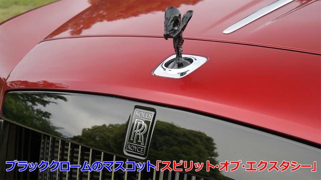画像2: ブラッククロームでゴージャスさの中に妖艶さを演出