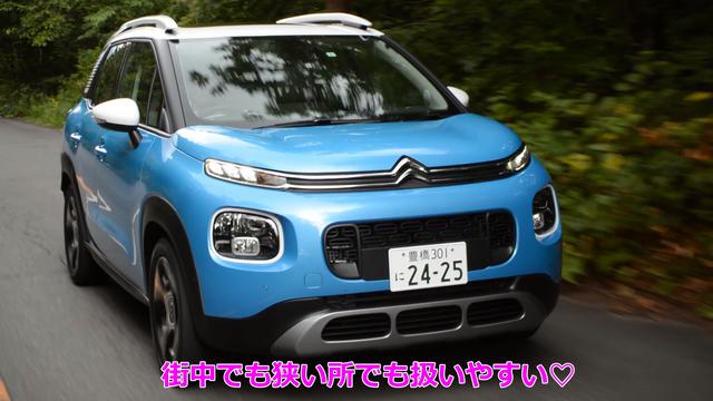 画像3: シトロエンの世界感全開!!のSUV
