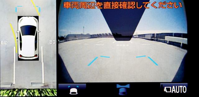 画像: パノラミックビューモニターの画像イメージ。