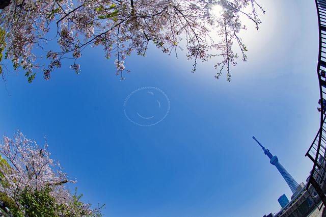 画像: まだ桜の残る東京都内、スカイツリー上空に描かれたニコちゃんマーク。(Taro Imahara PATHFINDER)