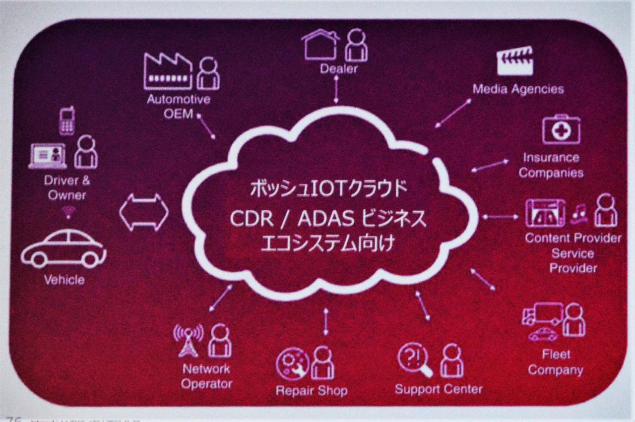 体重に関する偏見、人種、性別