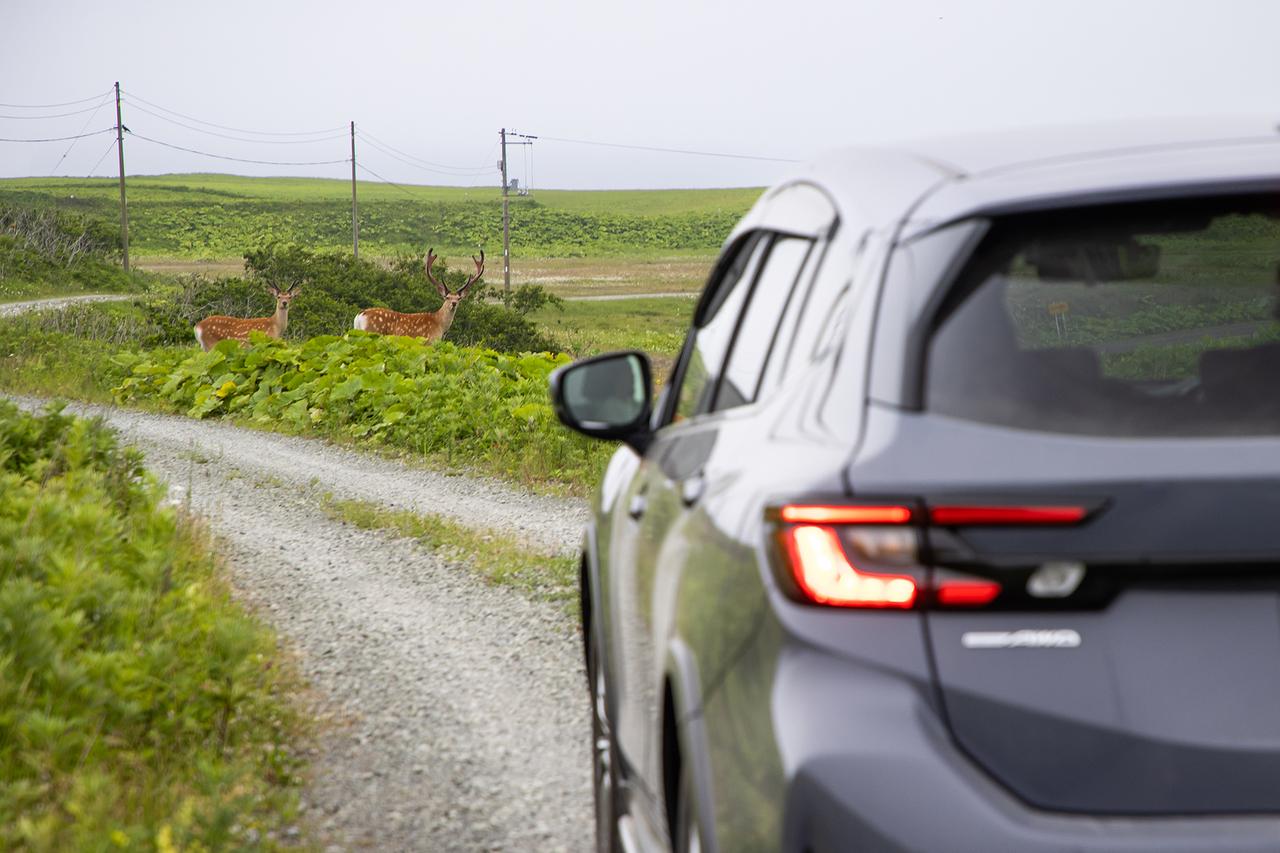 画像 : 4番目の画像 - SUBARU レヴォーグ レイバック北海道・釧路ショートトリップ - Webモーターマガジン