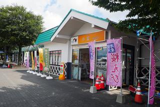 画像10