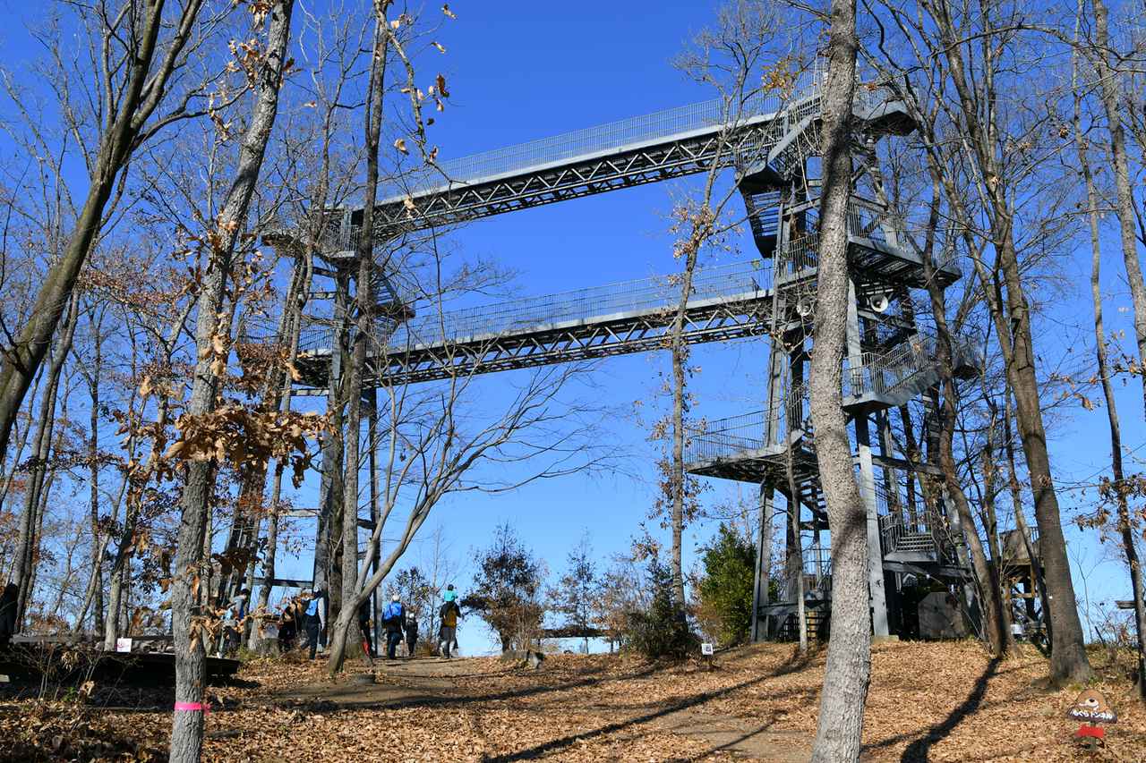 画像 : 3番目の画像 - モビリティリゾートもてぎ体験会 - Webモーターマガジン