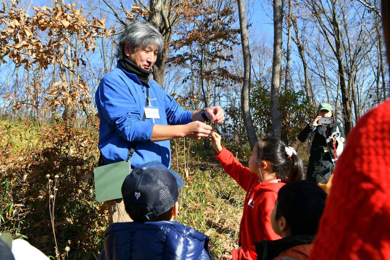 画像: インストラクター解説のもと、自生する動植物を探し学ぶ「里山散策ハローウッズ・キャストウオーク」。
