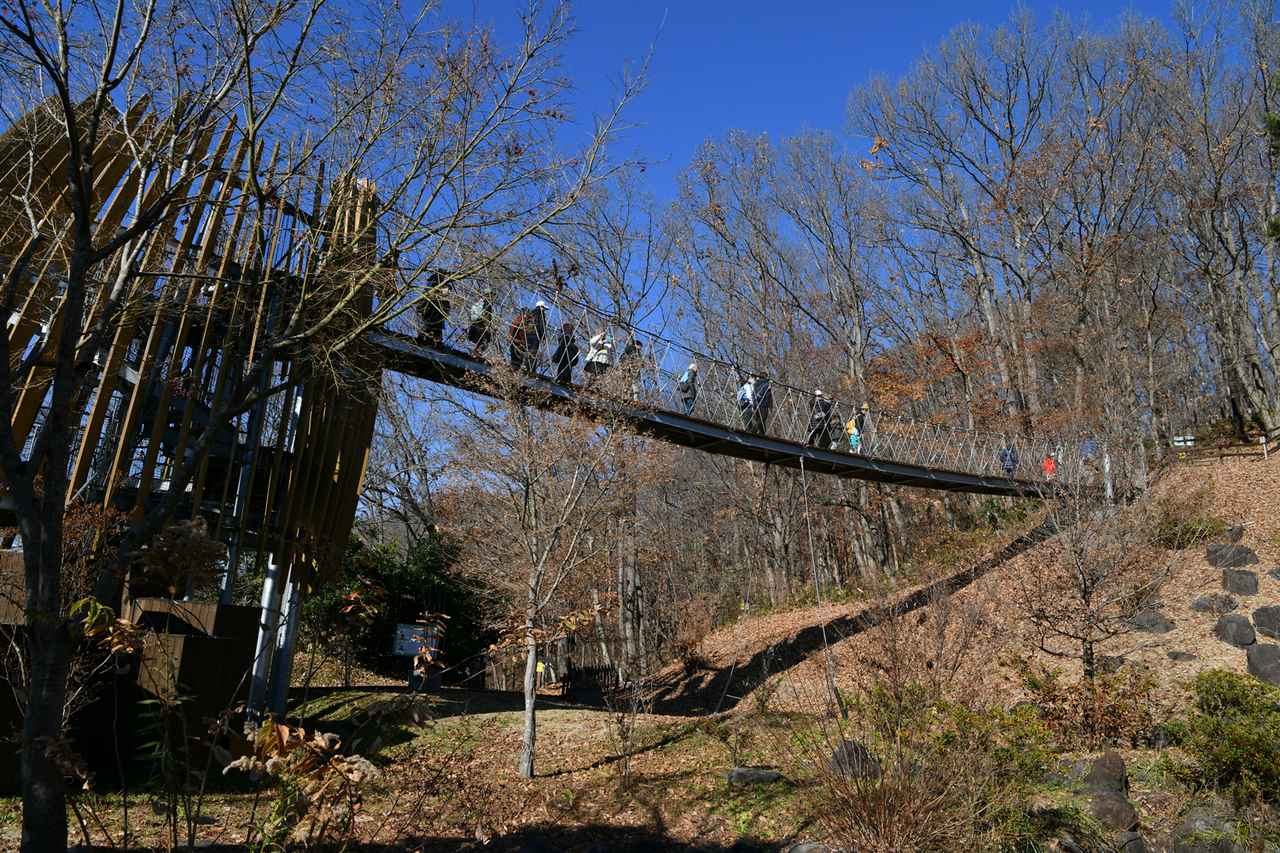 画像 : 2番目の画像 - モビリティリゾートもてぎ体験会 - Webモーターマガジン