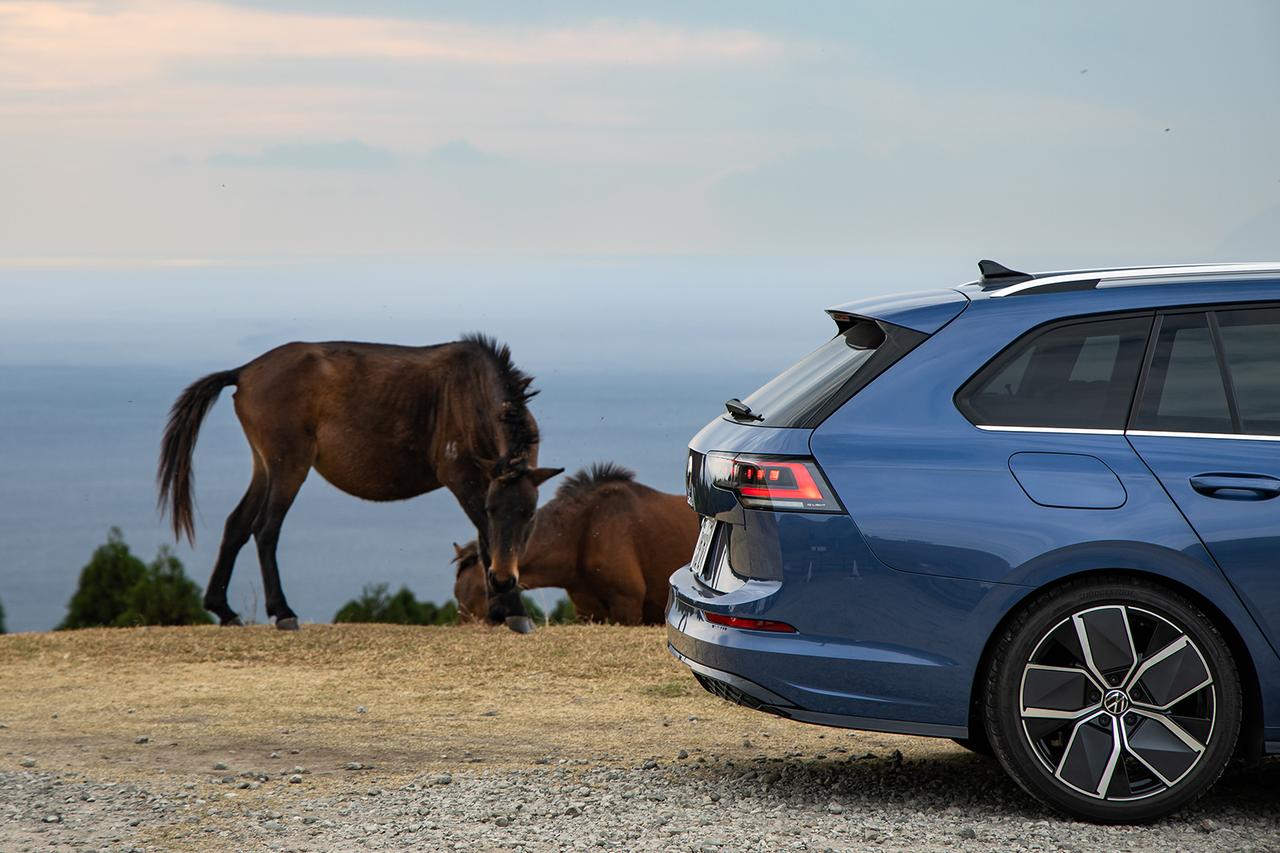 画像: こちらは旅の折り返し地点・宮崎県串間市の都井岬と、ここに生息する日本在来馬の一種で御崎馬。1953年に国の天然記念物にも指定されており、道路を普通に歩いているからこのように至近距離で見ることも。