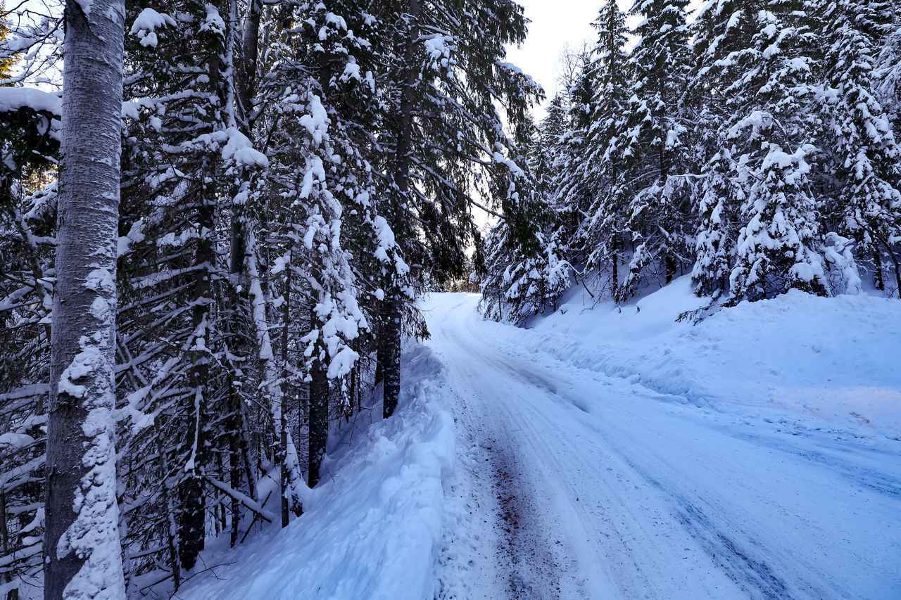 画像: ラリー・スウェーデンのスペシャルステージ。雪と氷に覆われた未舗装路を超高速で駆け抜ける特殊なイベントで、ドライバーの腕や経験が勝敗を分ける。