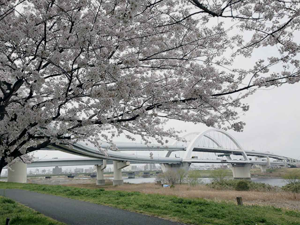 画像 : 3番目の画像 - 首都高 渋滞予測カレンダー 26-03 - Webモーターマガジン