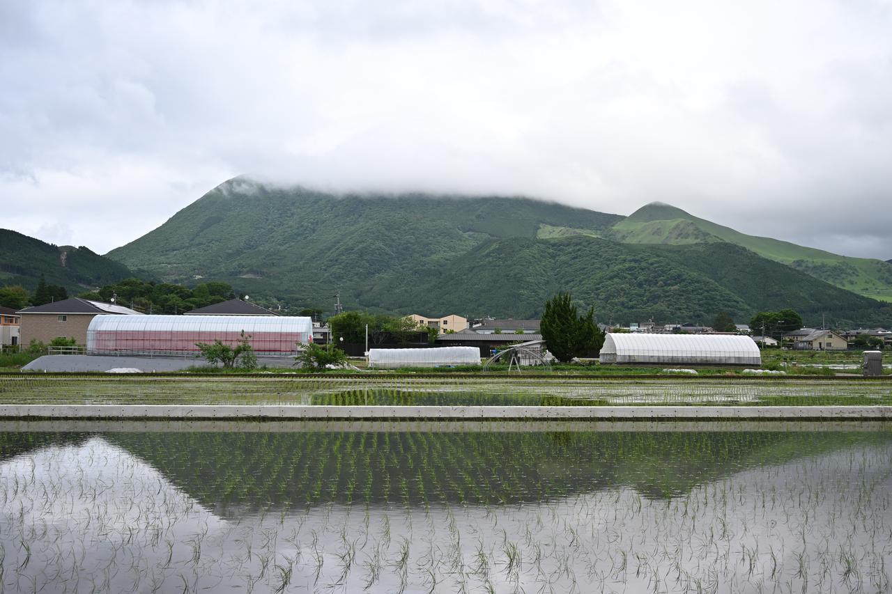 画像: 撮影日は生憎の雨だが、「Honda Sun × ENOWA FARM LAB」の後には「豊後富士」と呼ばれる由布院のシンボル由布岳が。