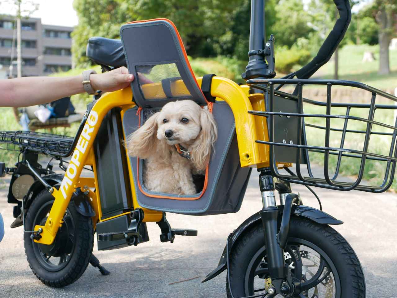 画像 : 5番目の画像 - 「箱買いペットボトルも愛犬も載せて、こがずに坂の上へ。家族で乗り分けられる免許不要の特定小型原付「MOPERO mini cargo 2」が予約受付開始」のアルバム - Webモーターマガジン