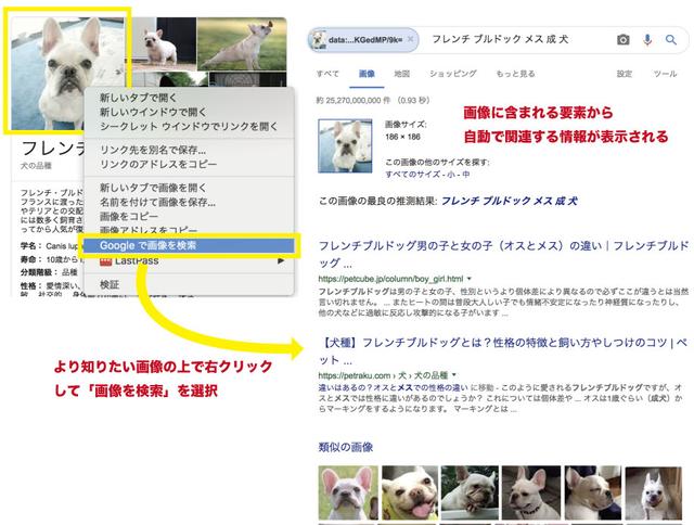 画像: Web上の画像をさらに調べる