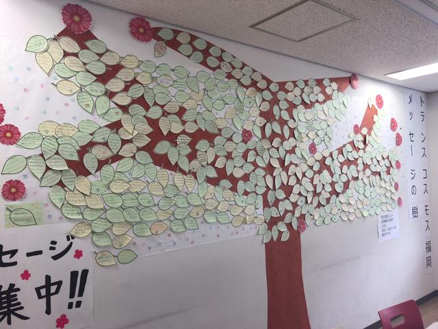 画像: メッセージの樹プロジェクトがあなたの参考に!