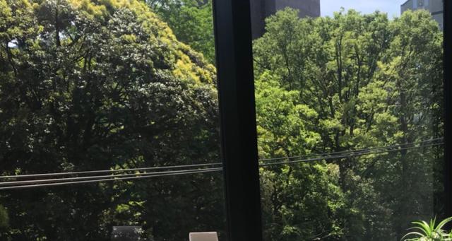 画像: 窓からは都心とは思えない豊かな緑を眺められるオフィス