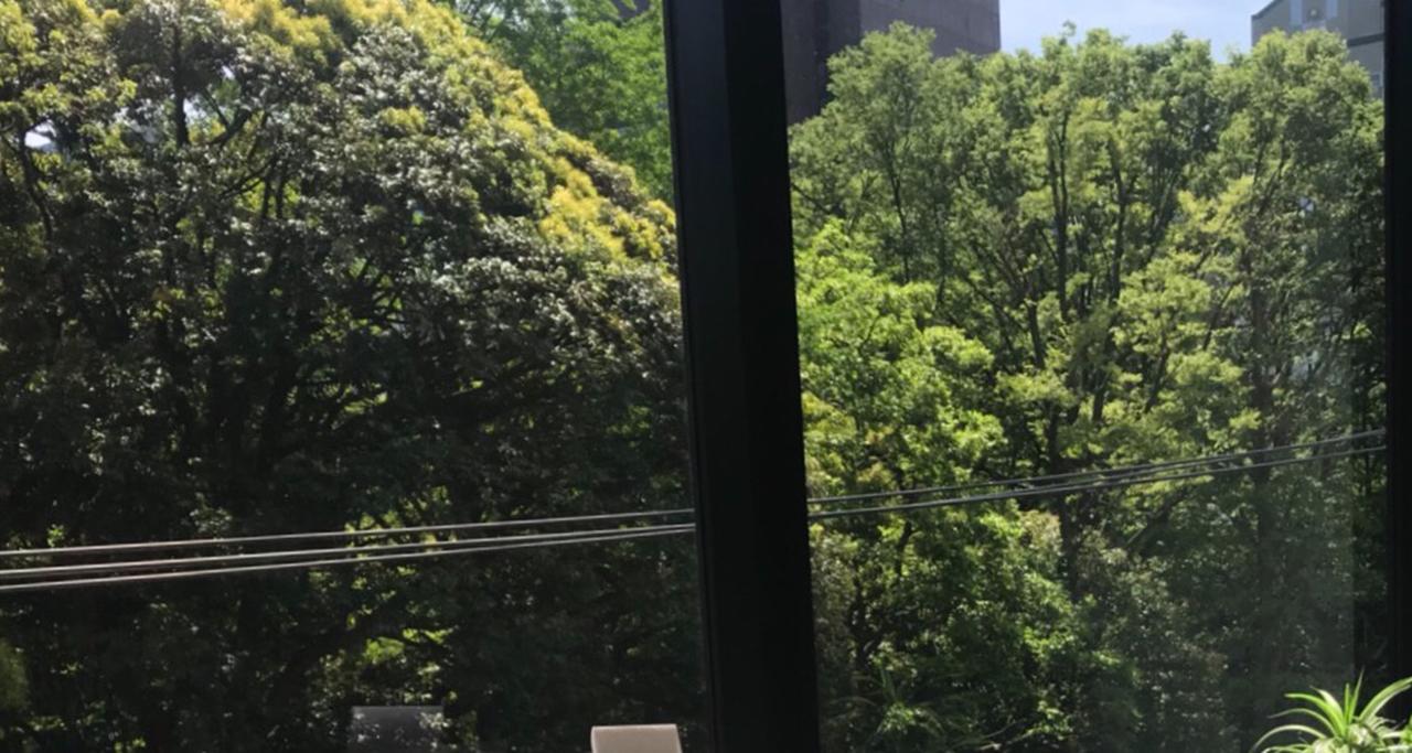 画像: 窓からは都心とは思えない豊かな緑を眺められるオフィス